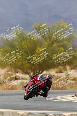 media/Apr-10-2022-SoCal Trackdays (Sun) [[f104b12566]]/Turn 5 Tree of Life (1040am)/